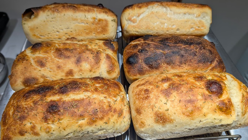 Fresh-baked focaccia loaves